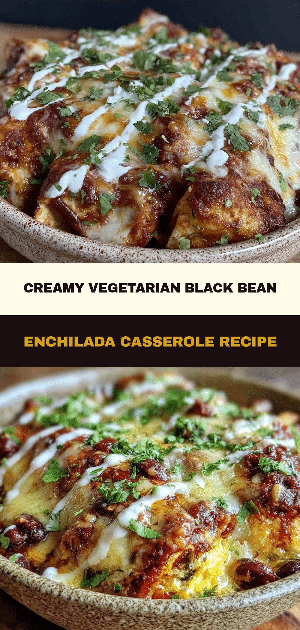 Vegetarian Black Bean Enchilada Casserole: The 5-Ingredient Meal 5 vegetarian black bean enchilada casserole recipe